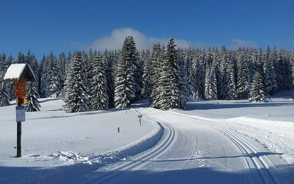 Upravená stopa pro klasiku i bruslení - zima v Krušnohorském penzionu Javor