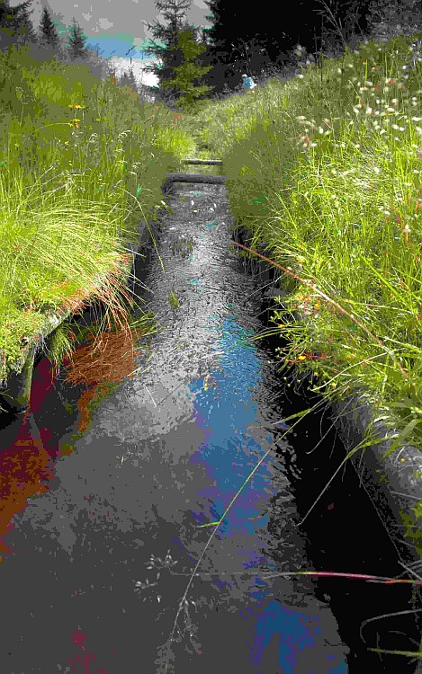 detail Blatenského příkopu - léto v Krušnohorském penzionu Javor